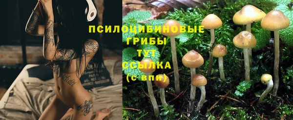 каннабис Каменка