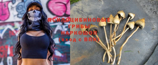 ECSTASY Каменногорск