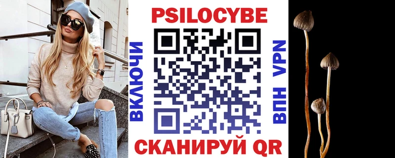 Псилоцибиновые грибы Psilocybine cubensis Купить закладки Макарьев